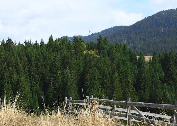 “ния” * Смолян